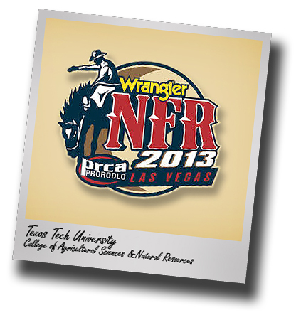 Five Tech alumni compete at Wrangler National Finals Rodeo in Las Vegas