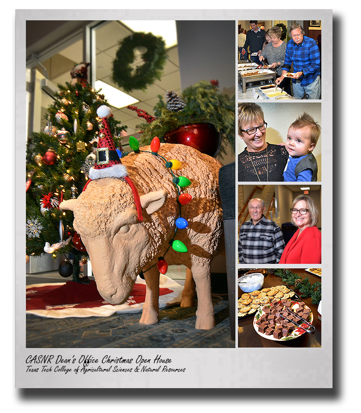 GALLERY: Welcome to the CASNR Dean's Office Christmas Open House