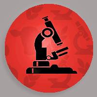 Research Round-Up: Davis College announces grant awards for November Research Round-Up: Davis College announces grant awards for November