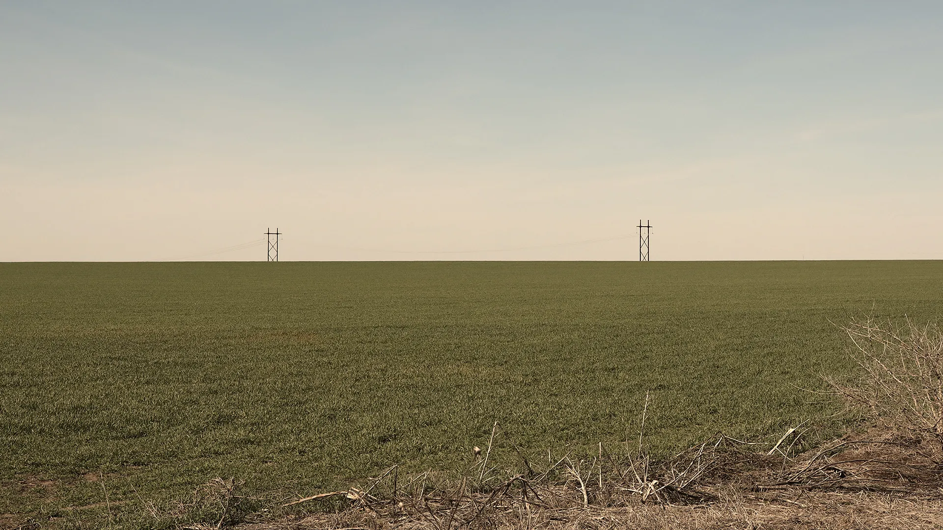 Grass field with power lines in the distance.