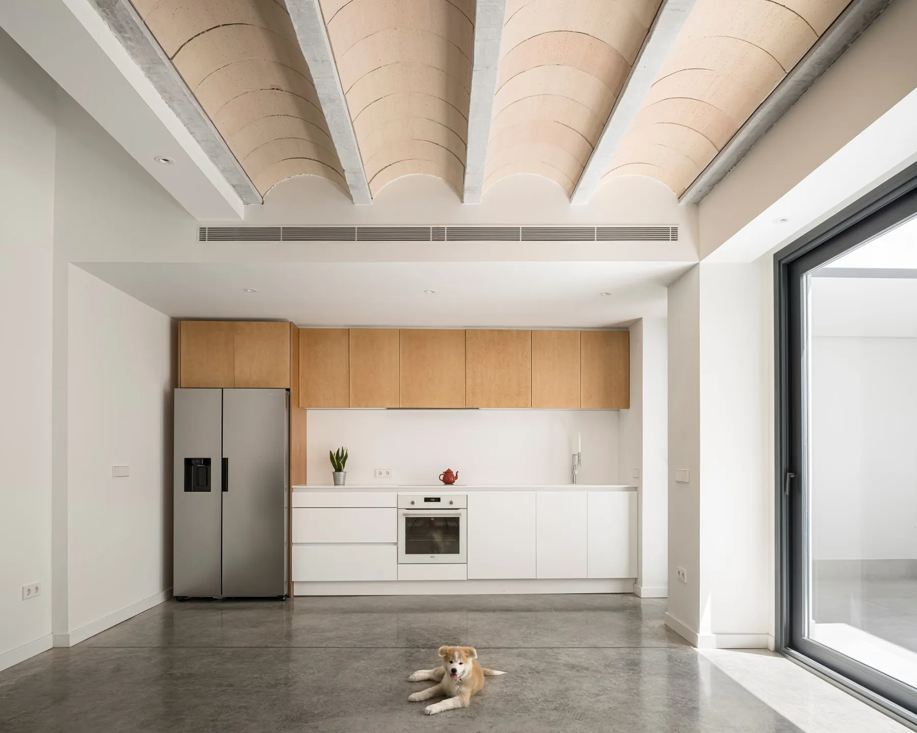 Photograph of a kitchen with a dog sitting on the floor
