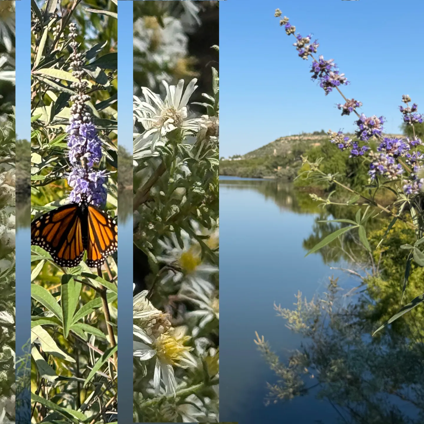 Outdoor photos of Big Spring.