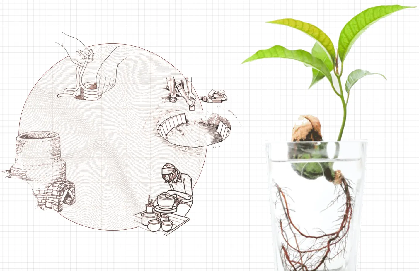 Drawings of creating pottery next to a photo of a plant in a glass of water