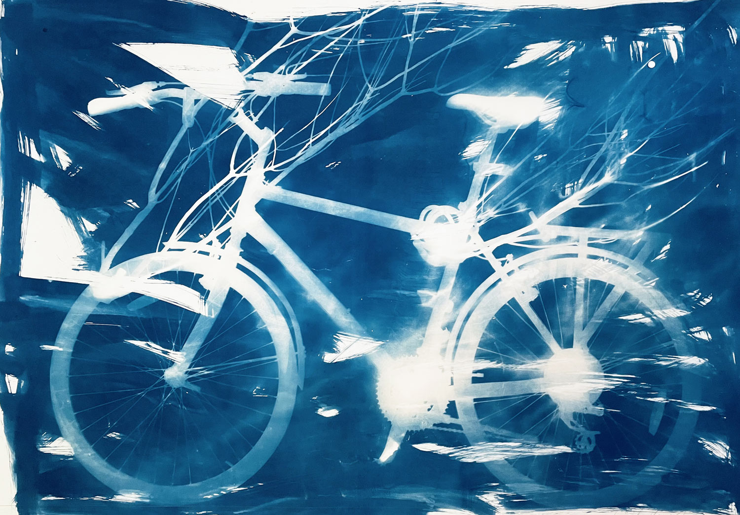 Carol Flueckiger Bicycle Art