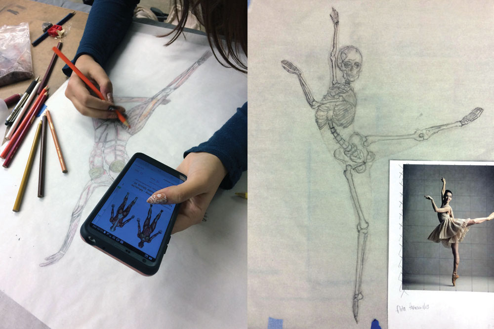 student drawing a skeleton