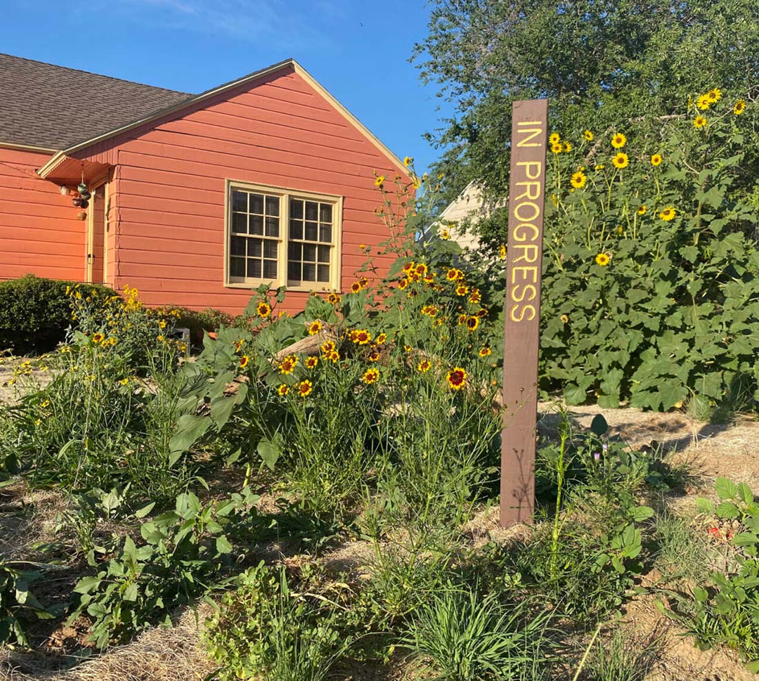 Outside garden and house