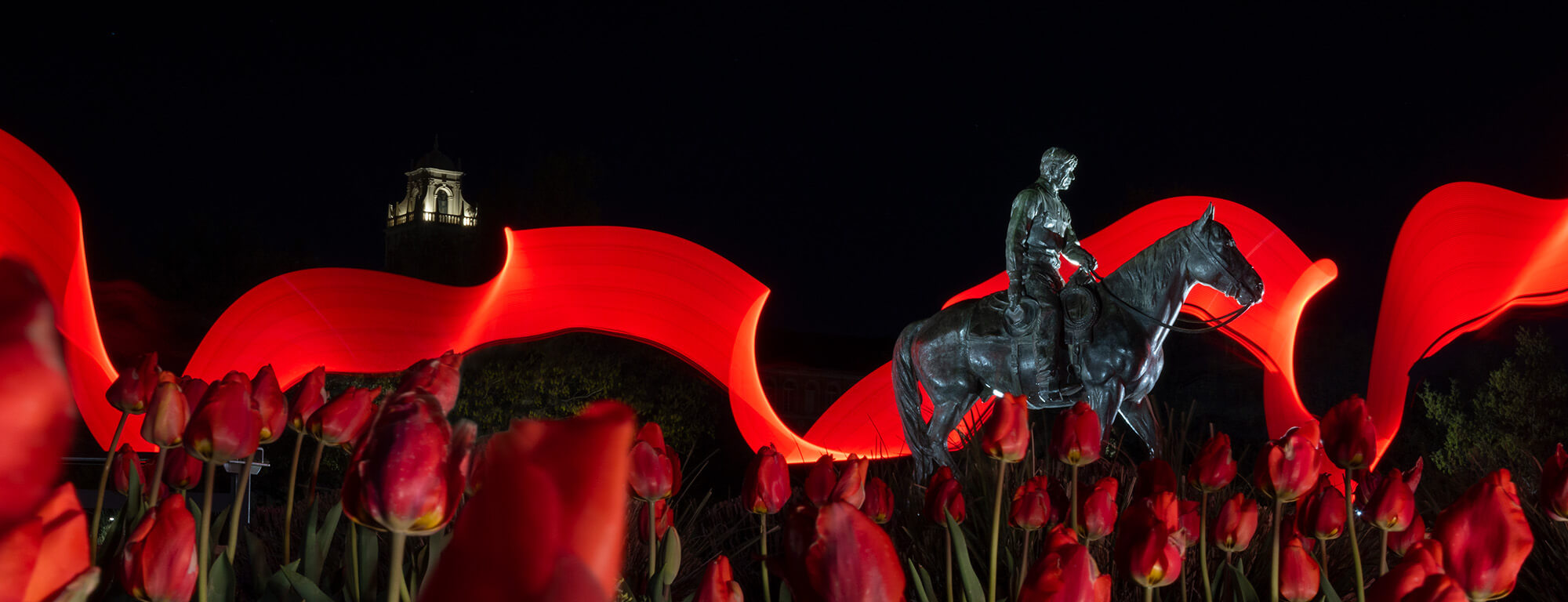 Texas Tech University Will Rogers and Soapsuds Statue