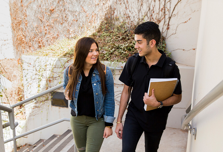 students walking up stairs