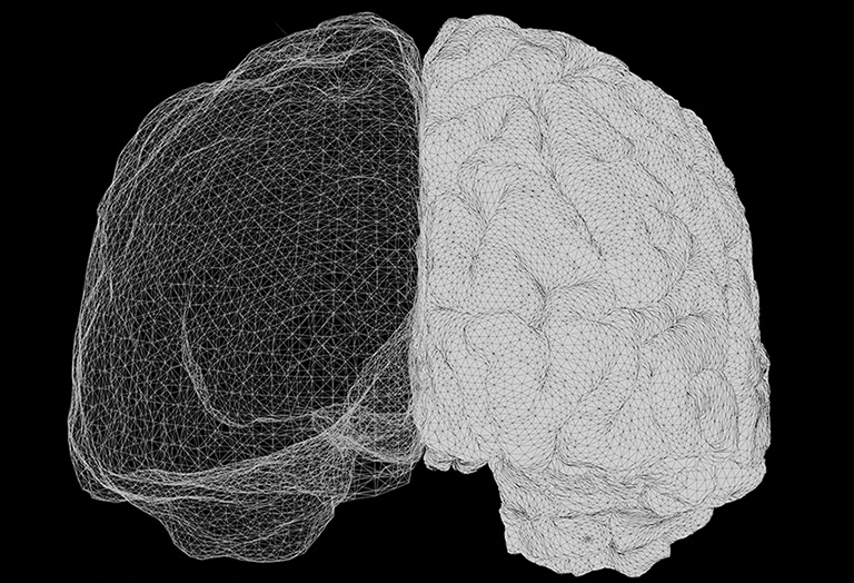 brain illustration