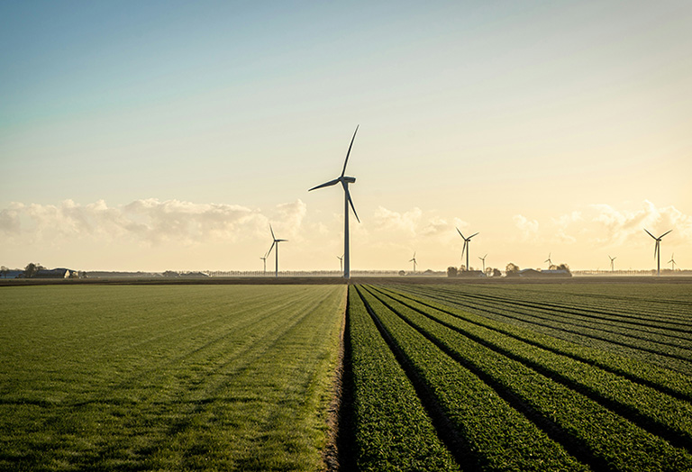 wind turbines in a field