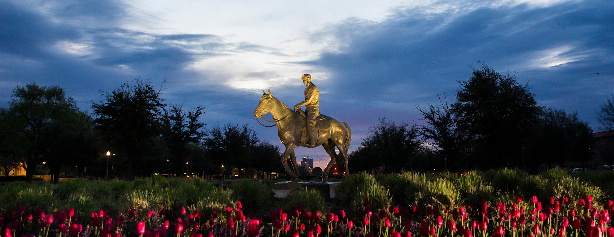 will rodgers statue with red tulips in the foreground