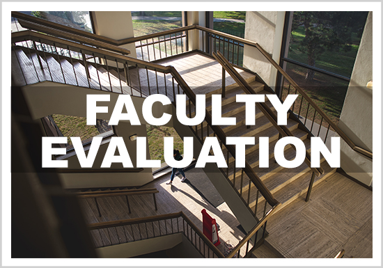 Faculty Evaluation and Review