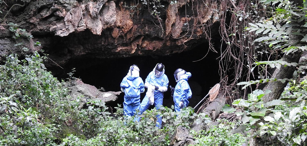 CDC ecologist and TTU alumnus Brian Amman at Python Cave, Uganda. photo courtesy CDC in the field in Uganda, photo courtesy CDC