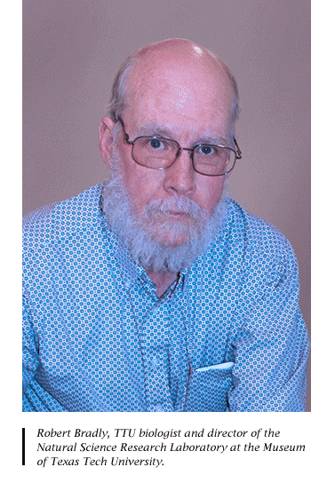 Robert Bradly, Texas Tech University biologist and director of the Natural Science Research Laboratory at the Museum of Texas Tech University