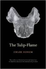 The Tulip flame by Chloe Honum