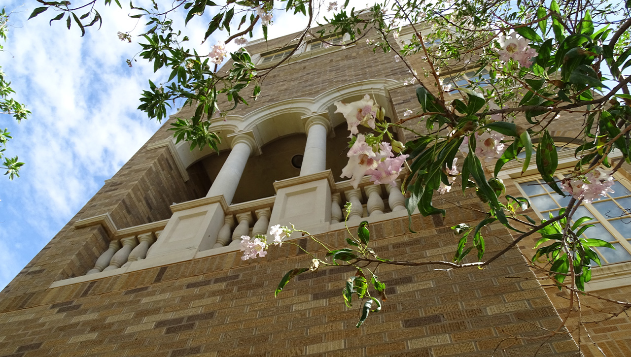 TTU campus architectural detail