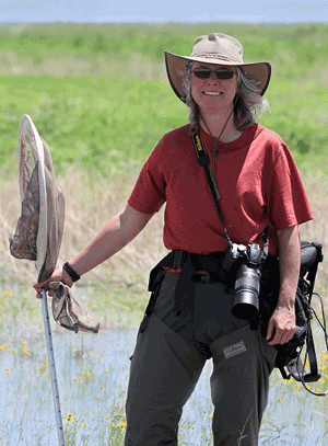 Nancy McIntyre, professor of landscape ecology, TTU
