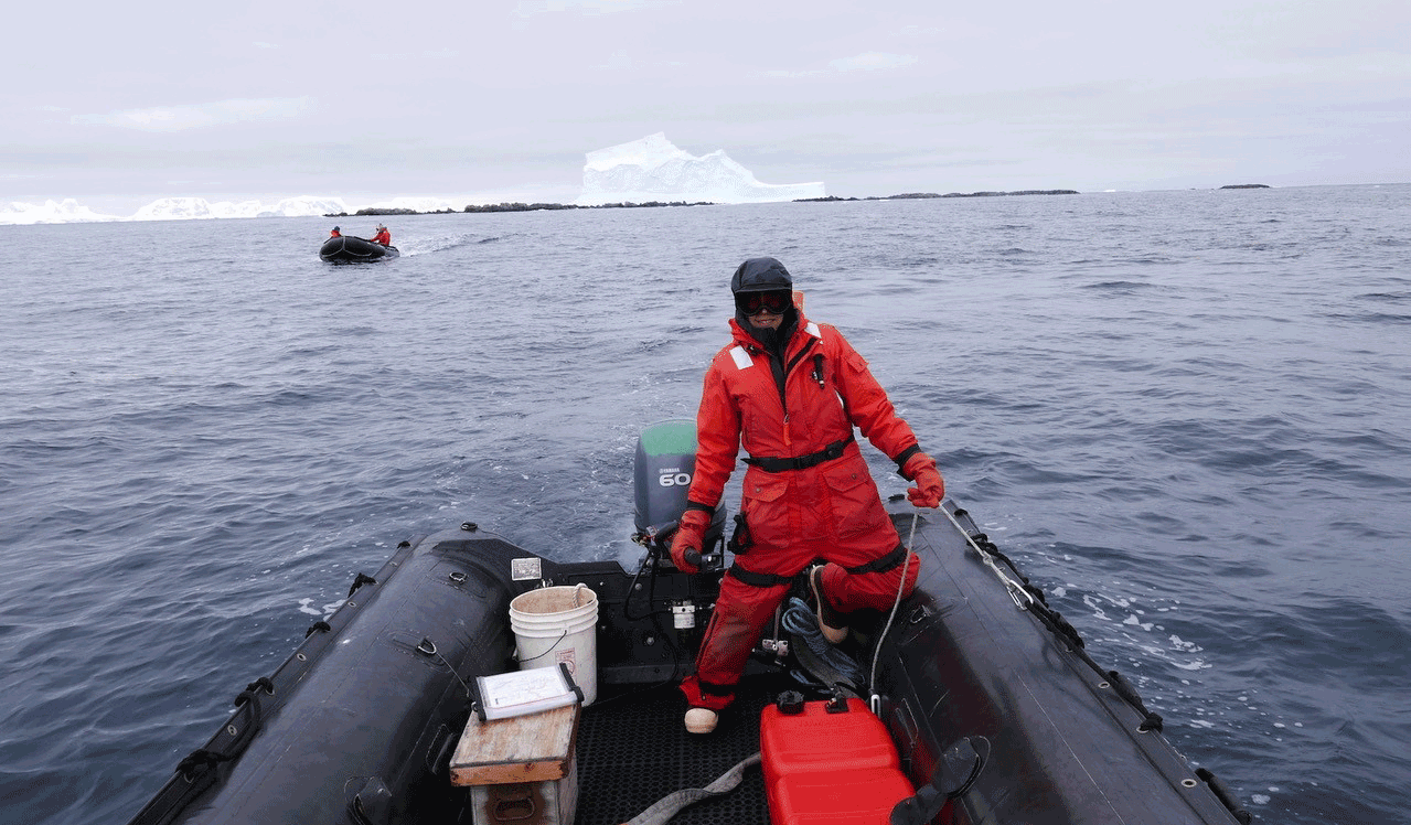 TTU Biologist Natasja van Gestel pilots a Zodiac in Antarctica