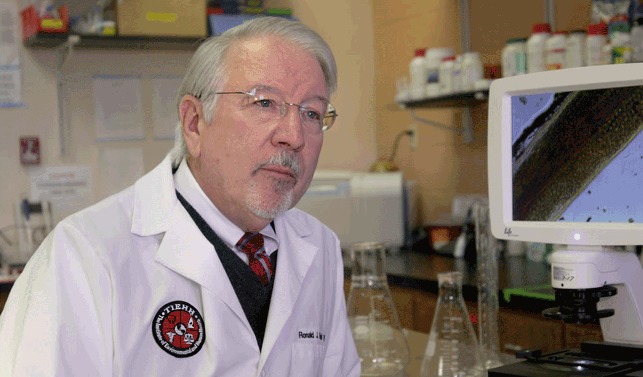 TTU Environmental Toxicologist Ron Kendall