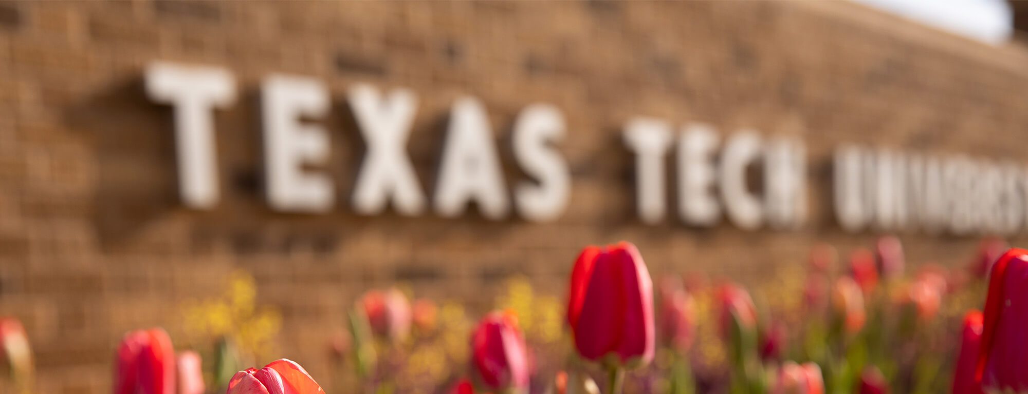 Texas Tech University sign