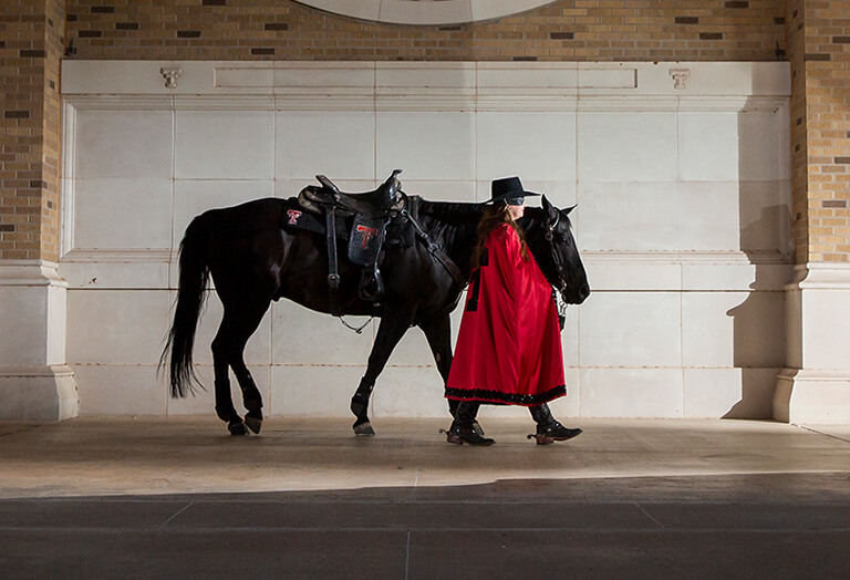 Texas Tech masked rider walking horse across admin building