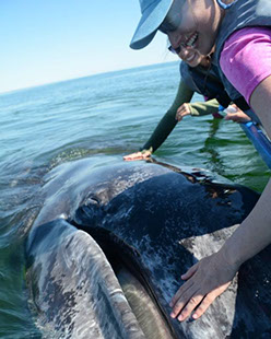 Kia Hayes with whale