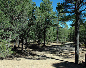 Manzano Mountains State Park