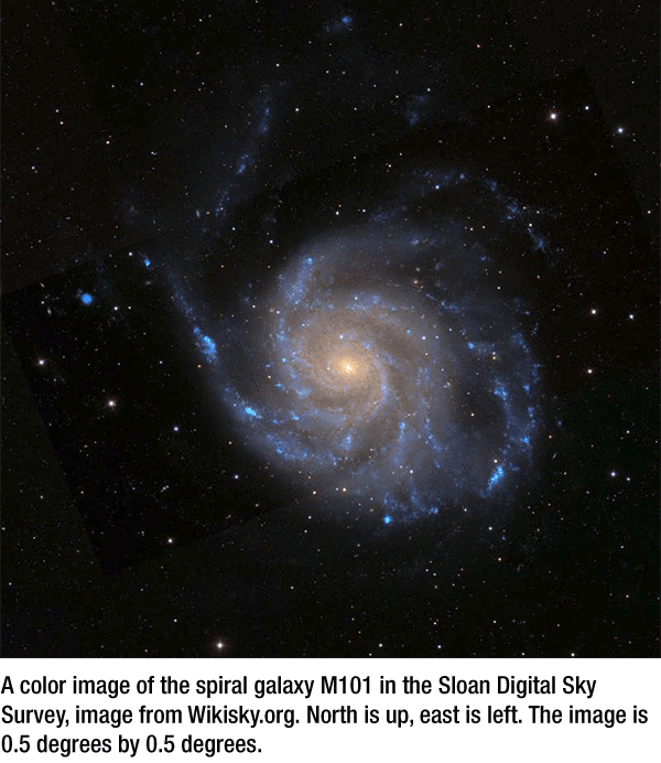spiral galaxy M101, image courtesy of Wikisky.org