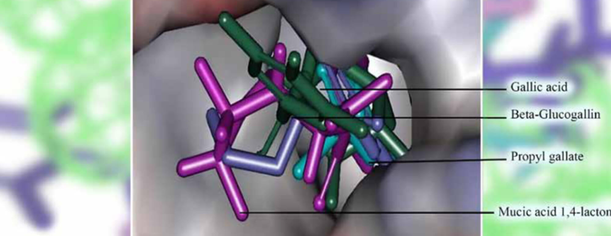 Announcing IJBAMRe journal (EG)