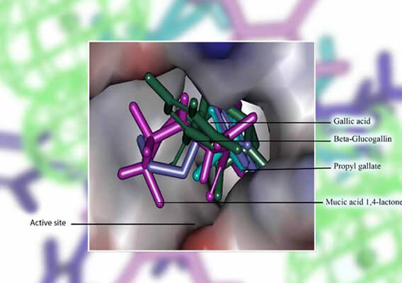 Announcing IJBAMRe journal (EG)