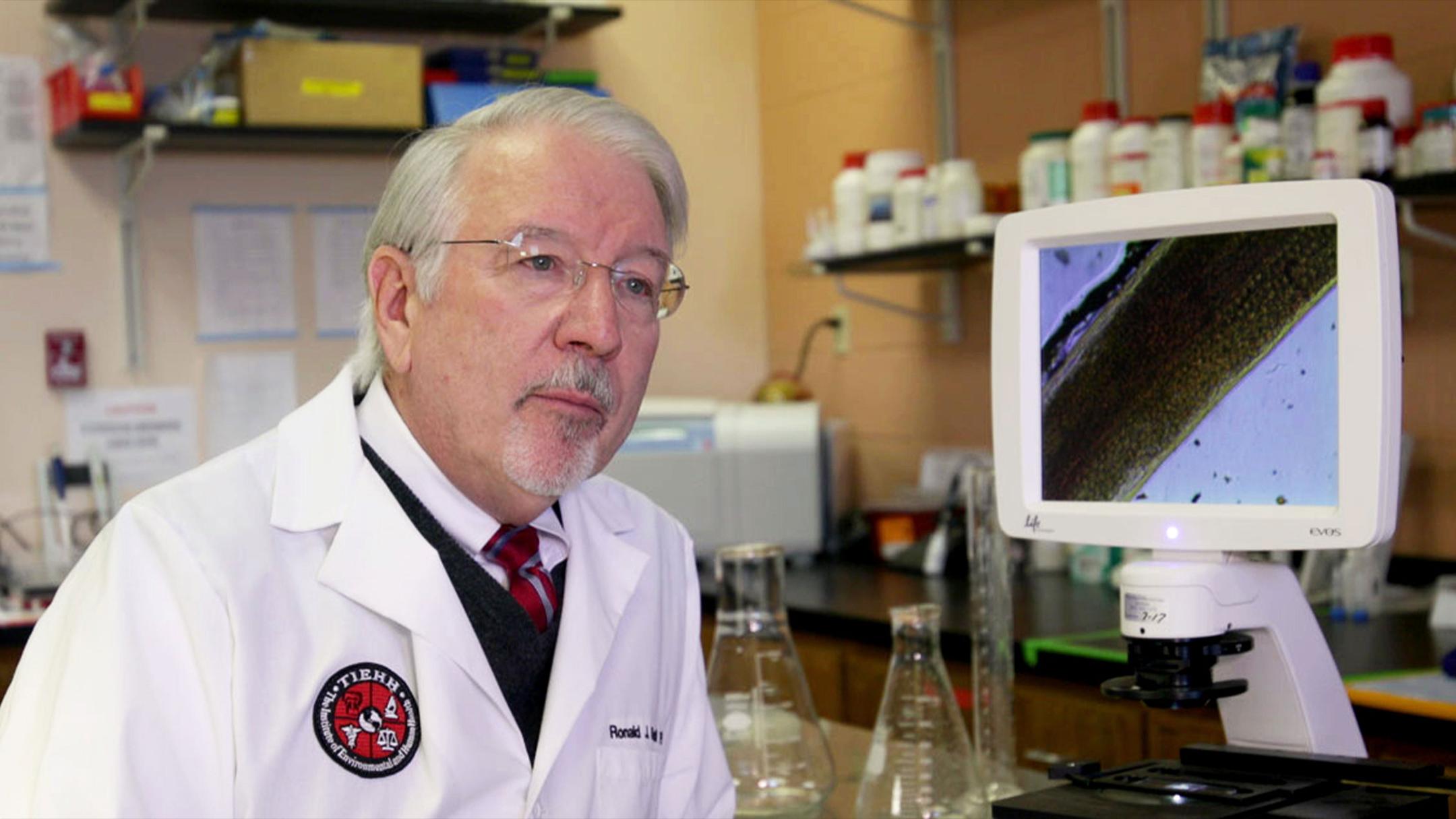 Texas Tech Professor Recognized for Efforts to Revive Texas Wild Quail