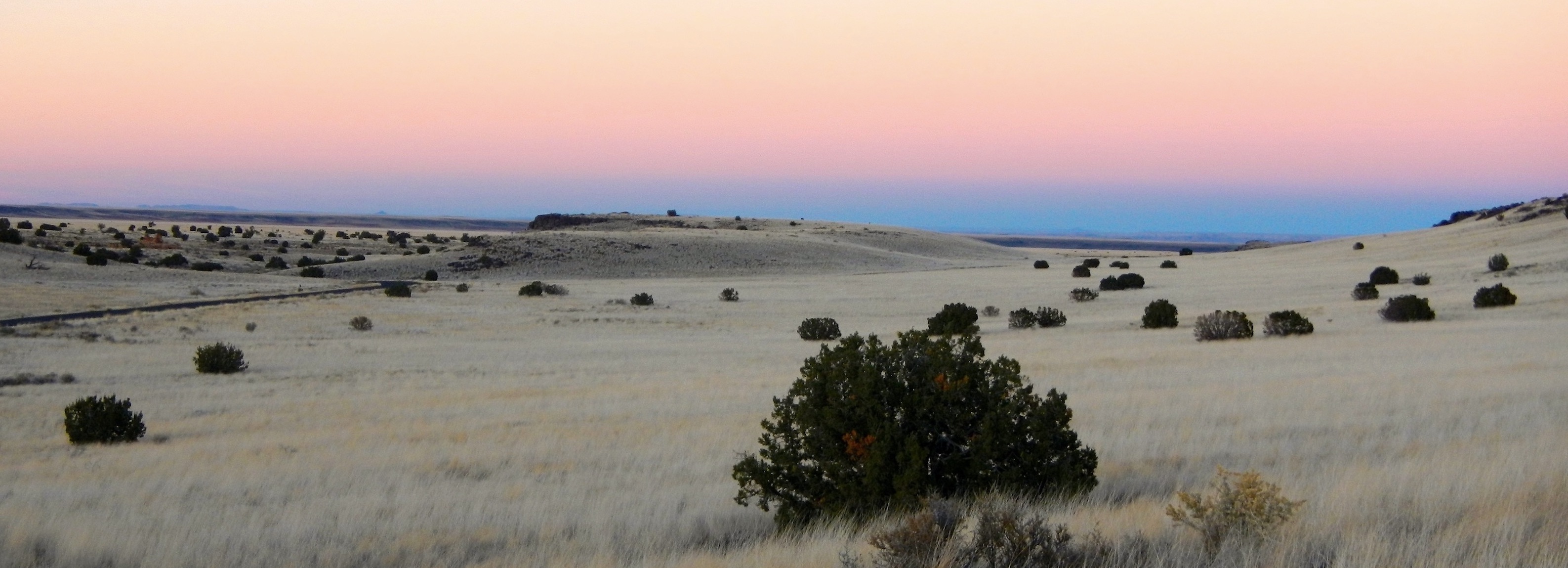 field in West Texas at sunset