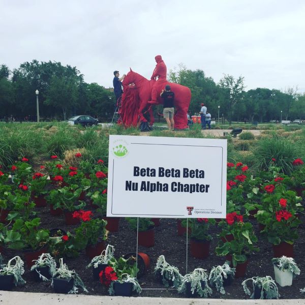TriBeta Nu Alpha Sign TriBeta Nu Alpha Sign