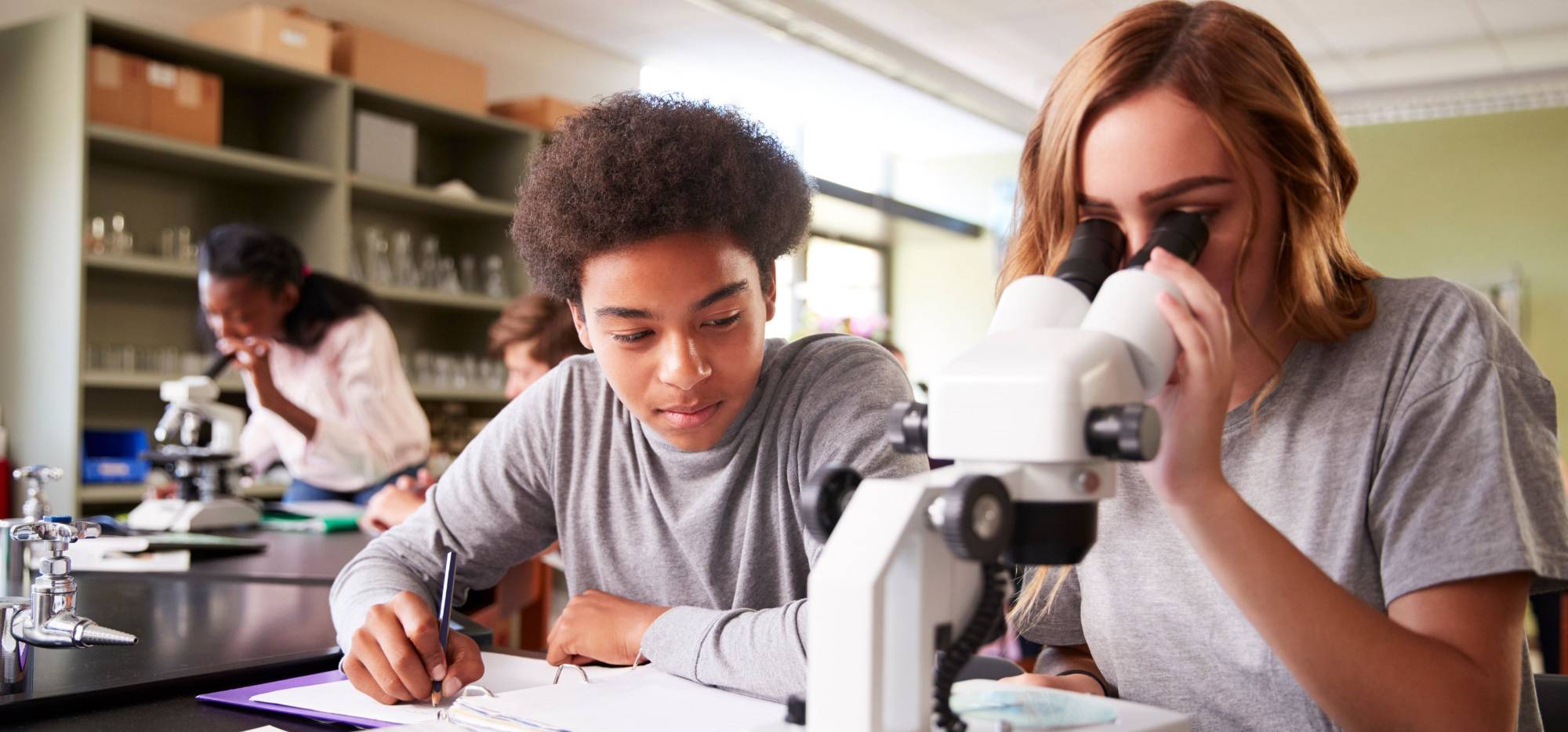 Student looking down microscope