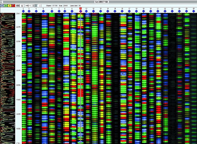 DNA Sequence