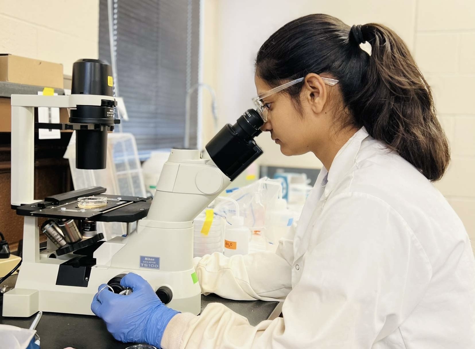 Microbiology Research Microbiology Research