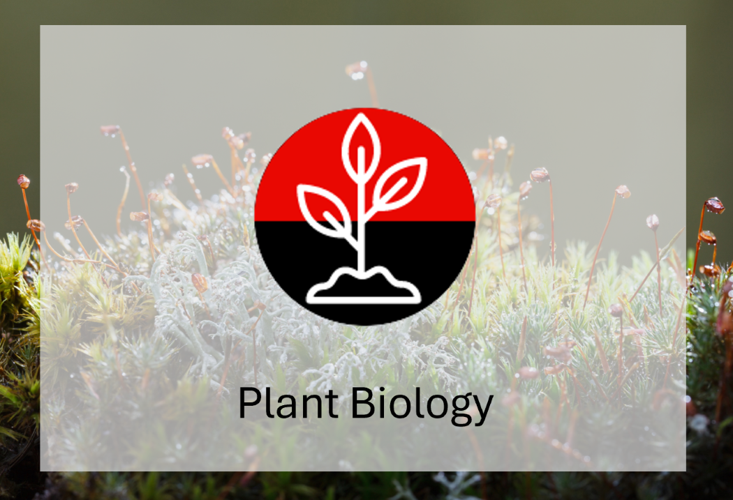 Plant Biology Group
