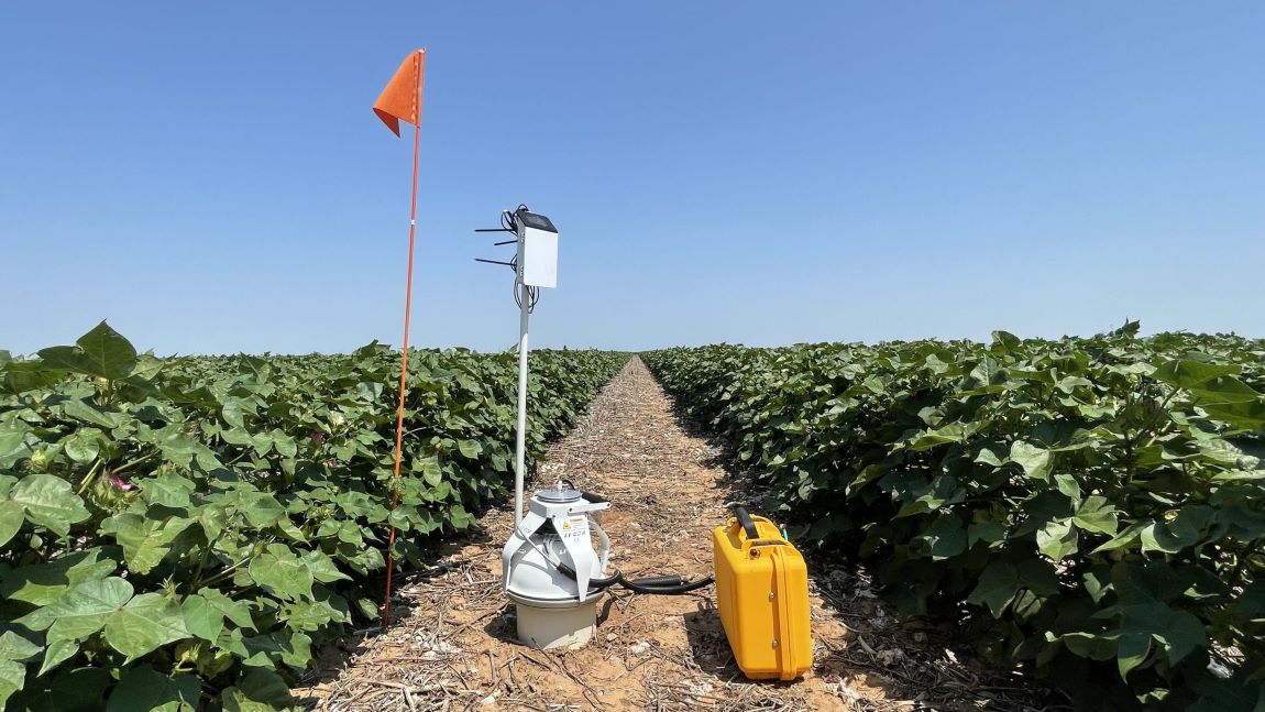 Plant Biology Webpage Header Plant Research using Licor