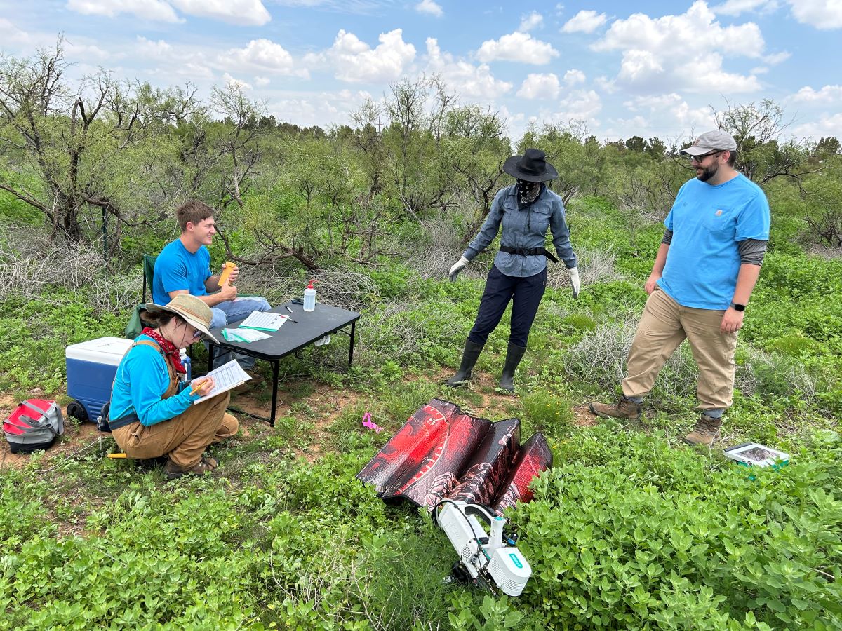 Students measuring leaf traits of the plant community in a short-grass prairie with and without exposure to eutrophication. Students measuring leaf traits of the plant community in a short-grass prairie with and without exposure to eutrophication.