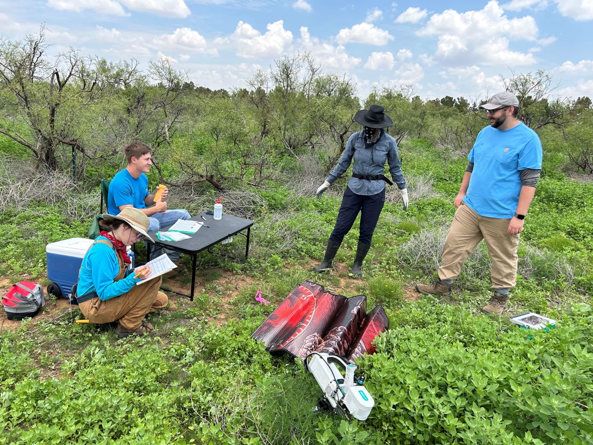 Students measuring leaf traits of the plant community in a short-grass prairie with and without exposure to eutrophication.