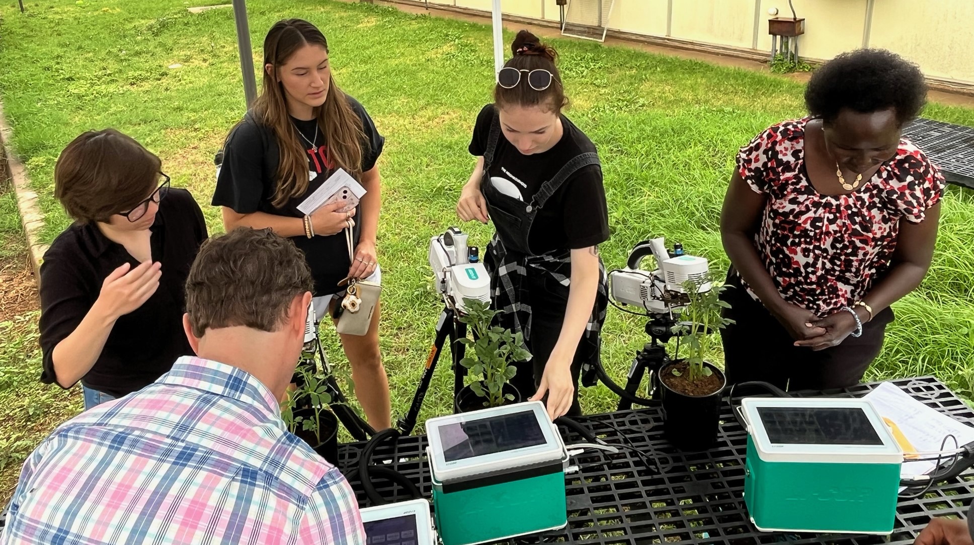 Students learning to measure gas exchange using a Licor 6800. Students learning to measure gas exchange using a Licor 6800.