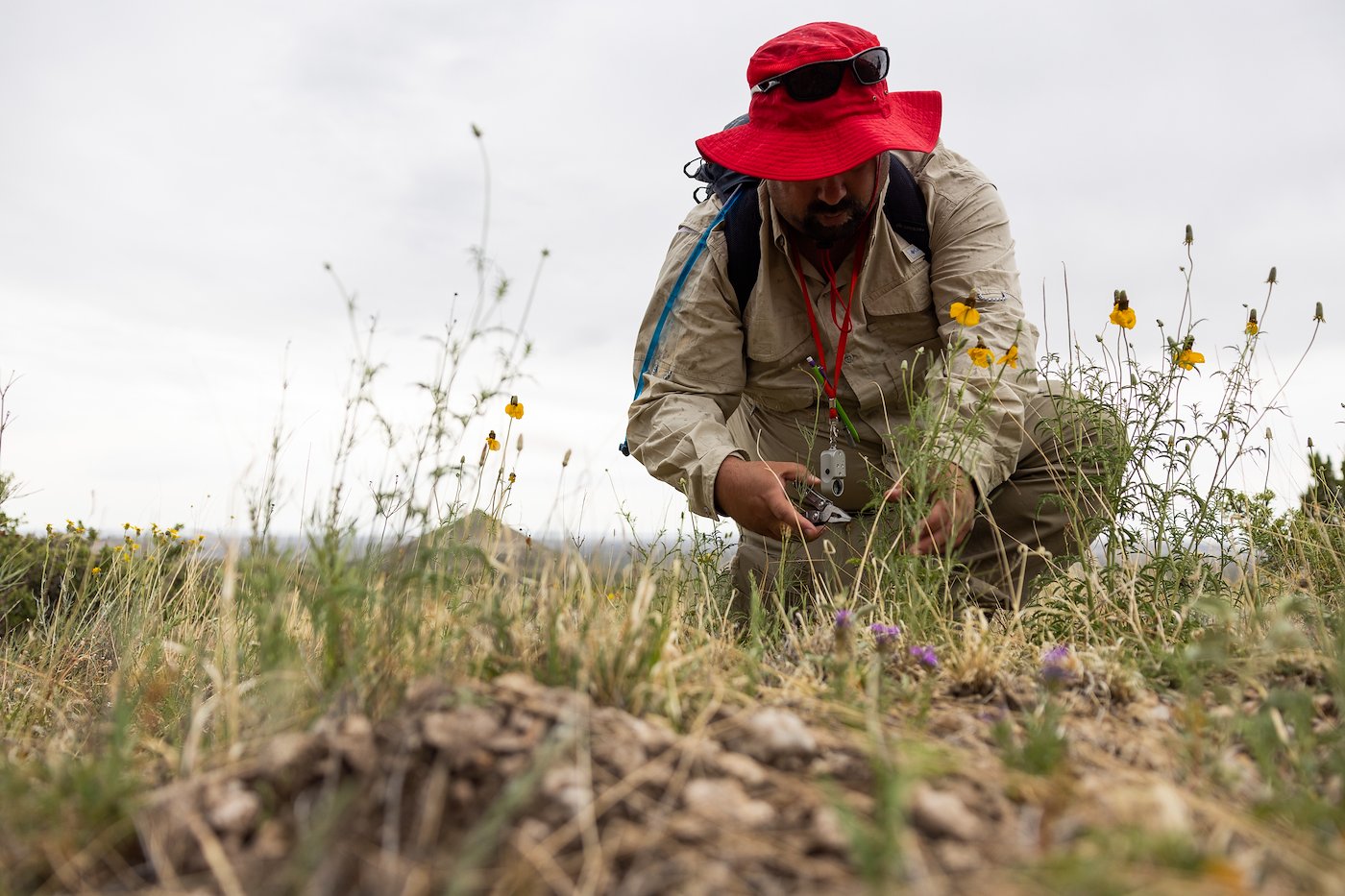 Dr. Matt Johnson collecting fowers Dr. Matt Johnson collecting fowers