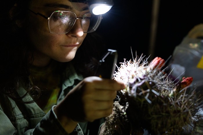 Herbarium Research Herbarium Research