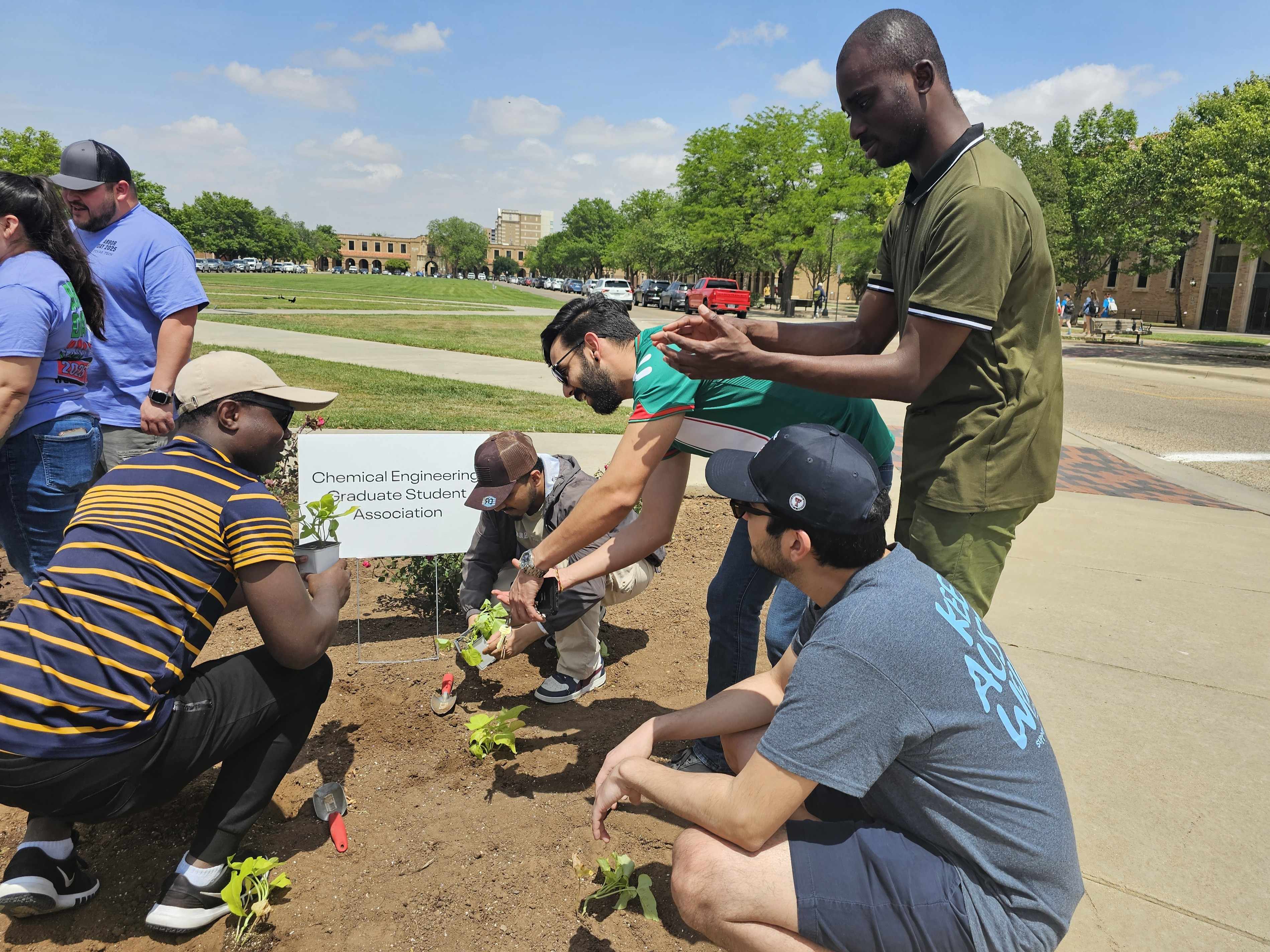 Planting