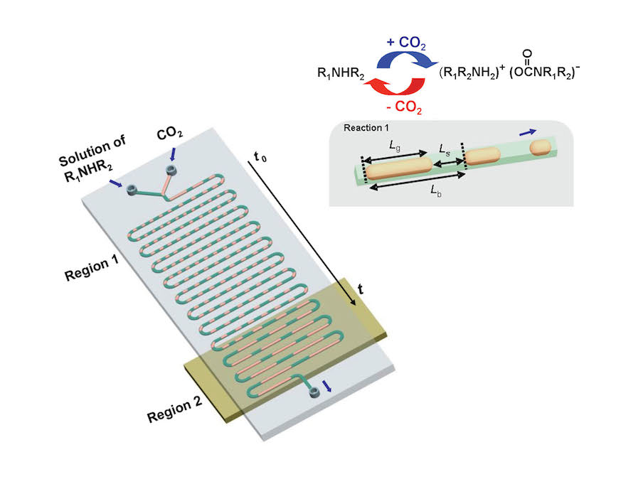 A Microfluidic Study of fast gas-liquid reactions