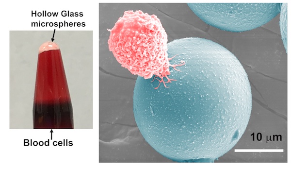  Cell Isolation and Recovery Using Hollow Glass Microspheres Coated with Nanolayered Films
