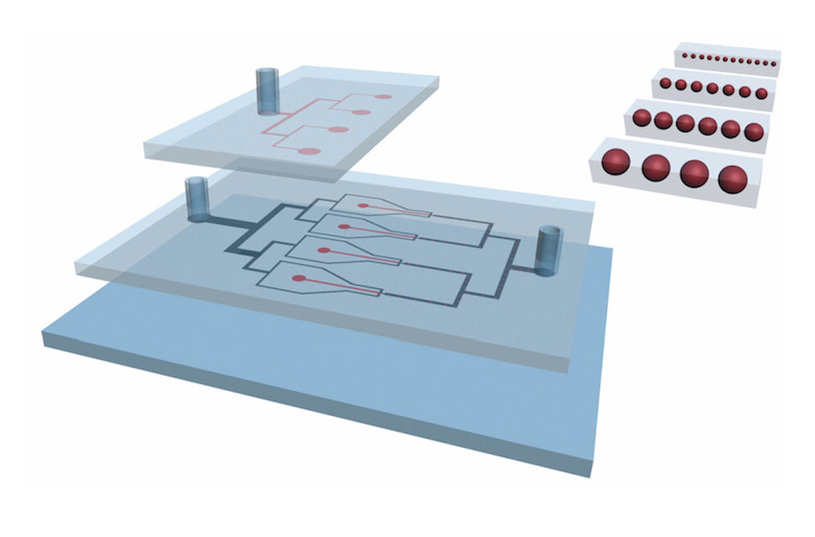  Simultaneous Microfluidic Generation of Droplets with Different Dimensions. Soft Matter