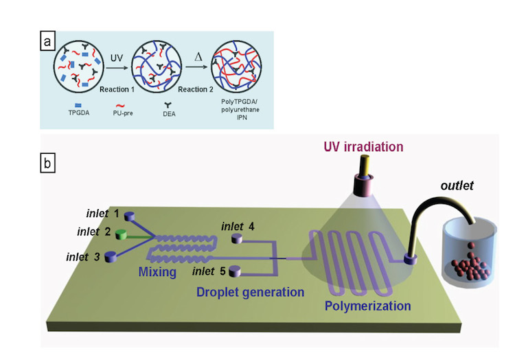 Multi-Step Microfluidic Polymerization Reactions Conducted in Droplets