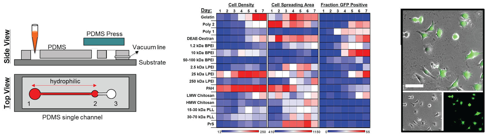 High throughput assembly and screening of layer-by-layer (LbL) film libraries