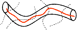 Reptation model